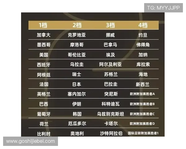 意昂世界杯抽签规则详解：如何理解抽签流程中的各项规定与操作