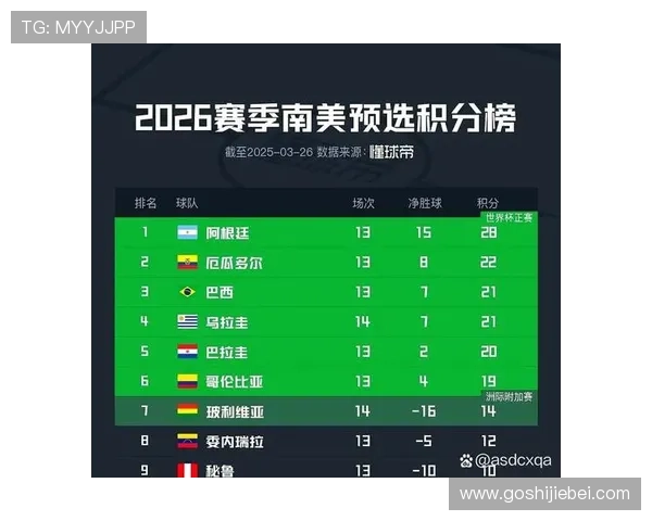 深入分析世界杯南美洲区预选赛积分榜各队表现及未来晋级路径预测指南