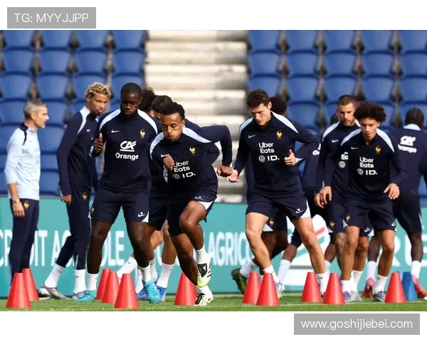 法国队如何在世界杯中实现冠军梦的详细战术布局与经验总结